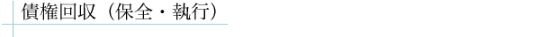 債権回収(保全・執行)